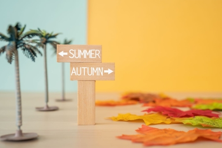 Strat&eacute;gie SEO : l'importance de la saisonnalit&eacute; 