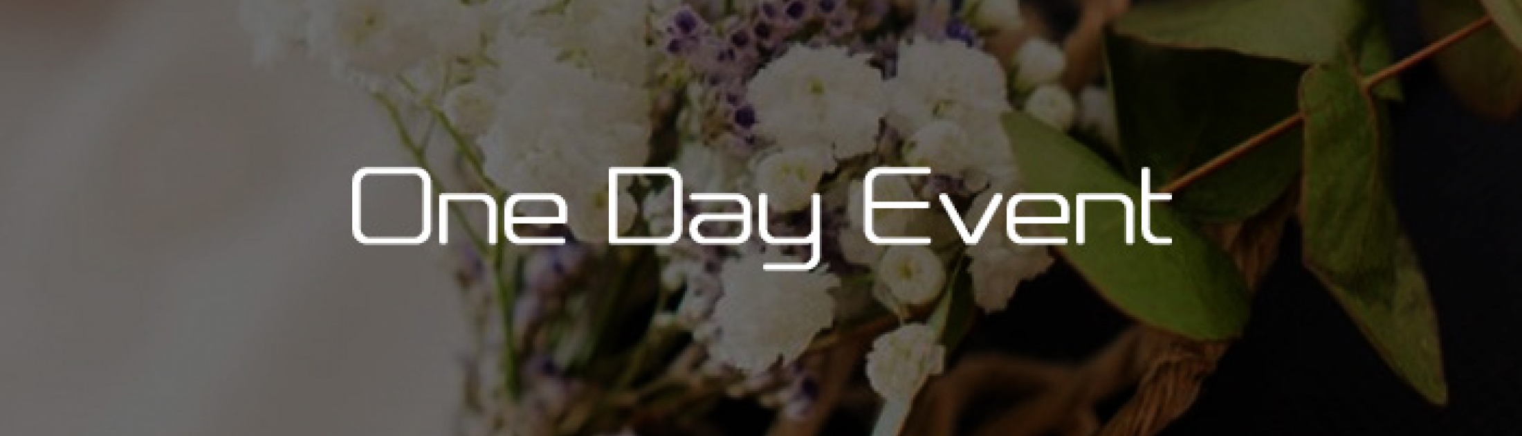 One Day Event